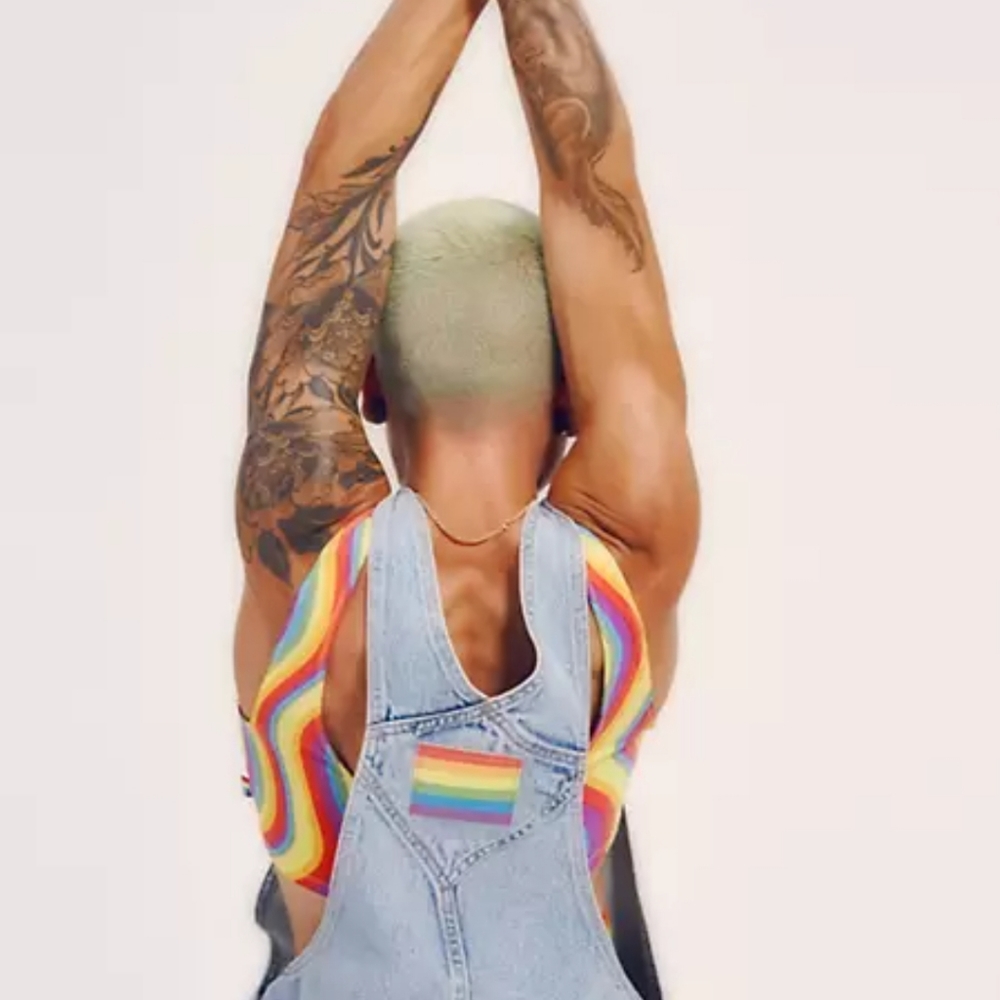 Women/Men LEVI'S PRIDE LIBERATION SHORTALLS - Picture 4 of 16